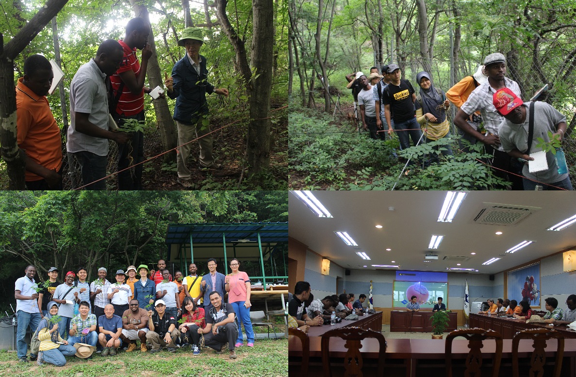 Field Study Forest Ecology & Forest and Short-term