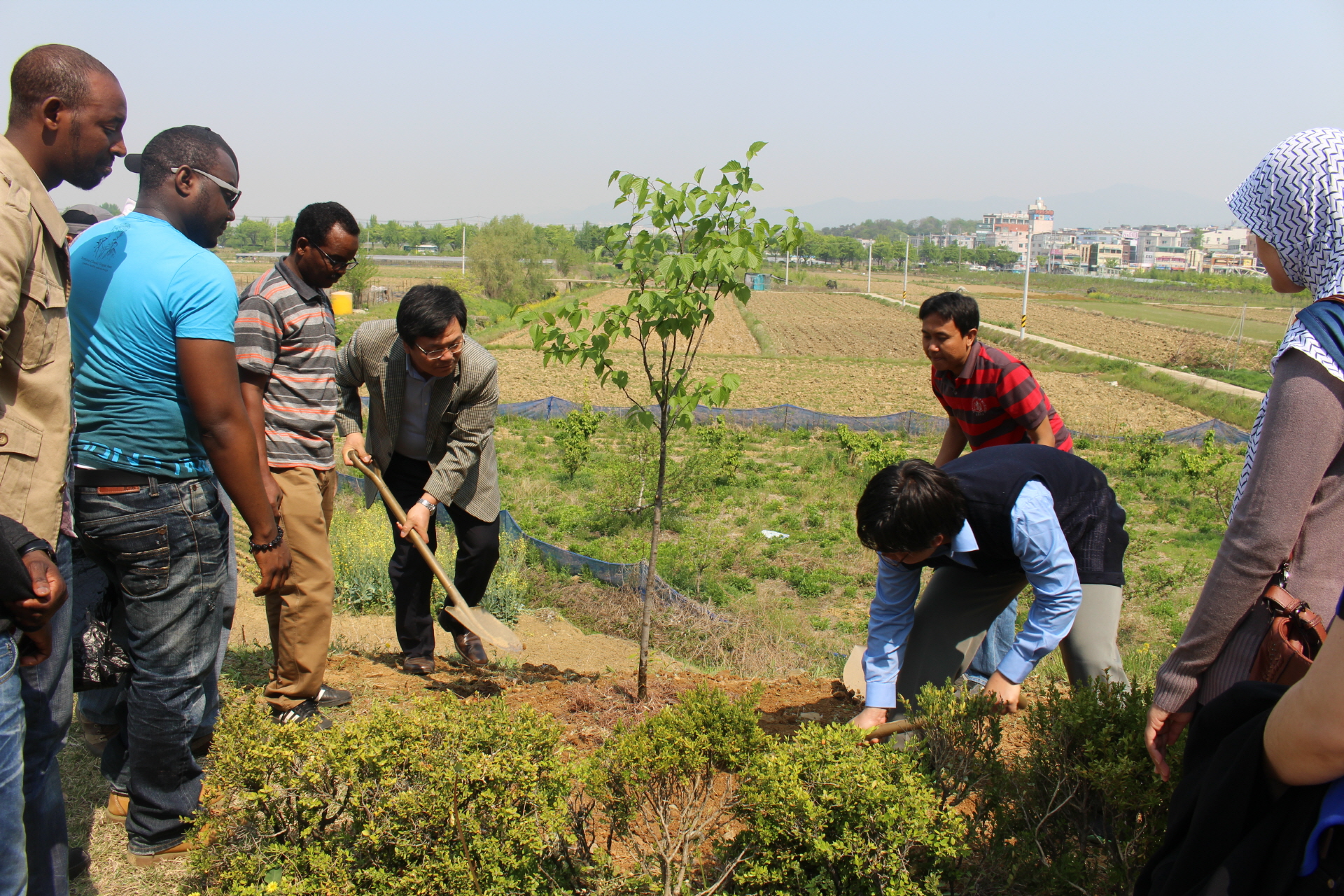 Tree Planting with Forest Resources and Ecological