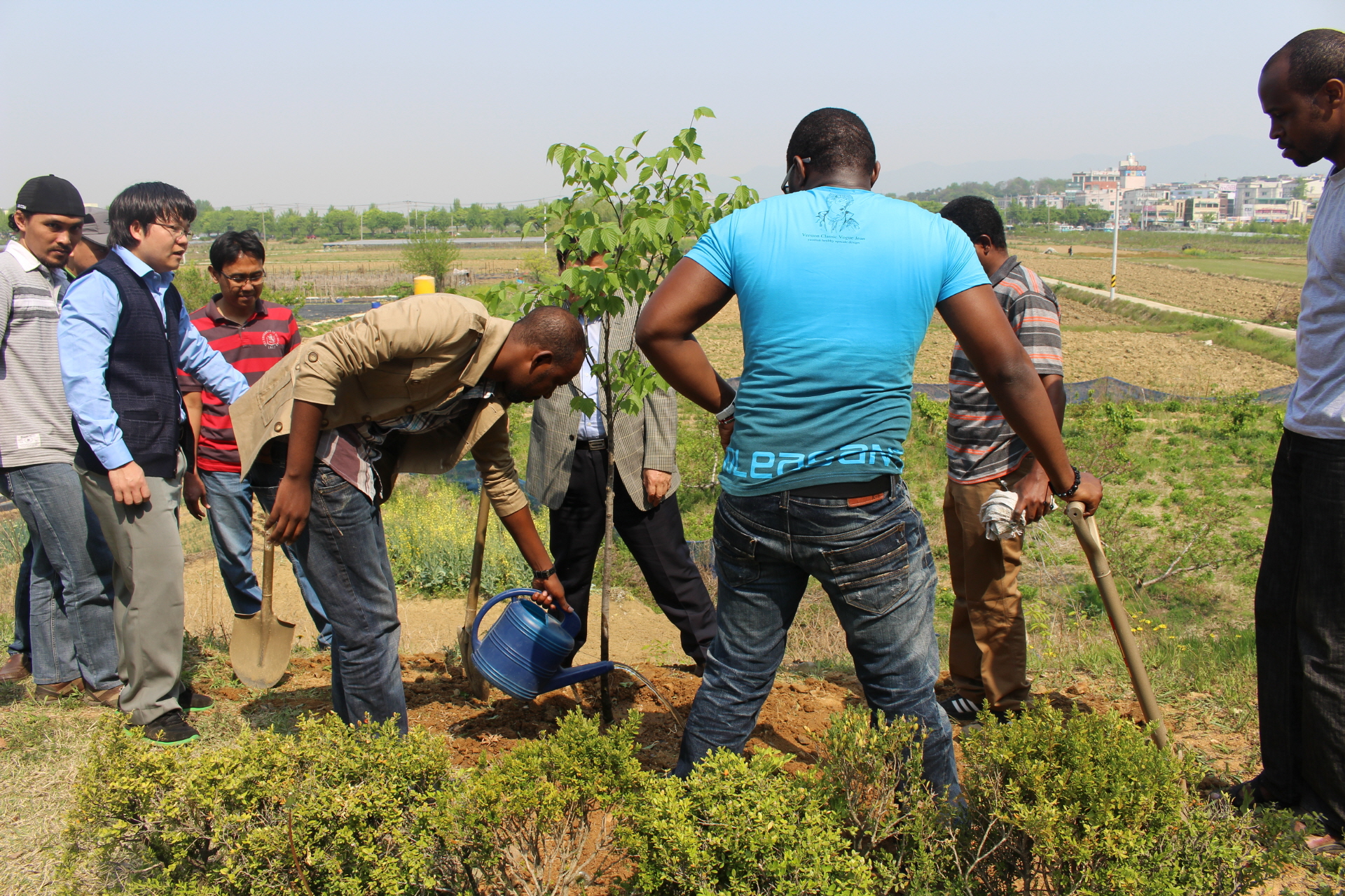 Tree Planting with Forest Resources and Ecological