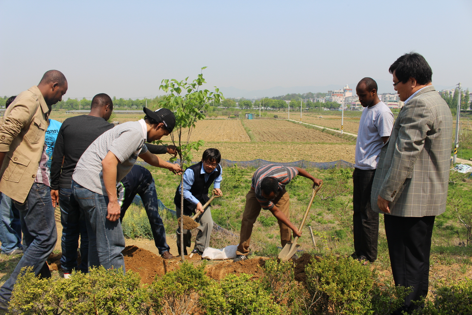 Tree Planting with Forest Resources and Ecological