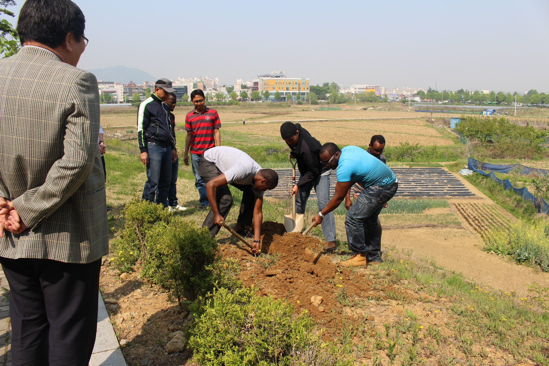 Tree Planting with Forest Resources and Ecological