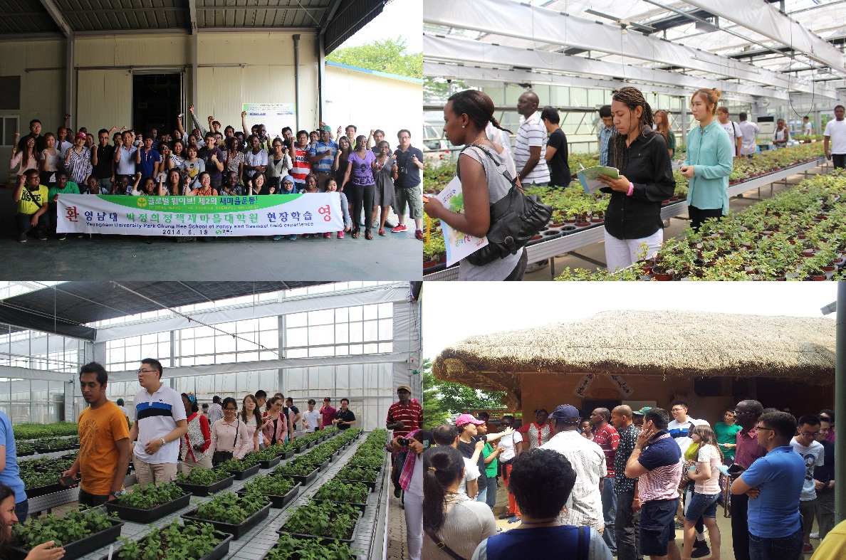 Field Study Saemaul Undong and Agricultural Develo