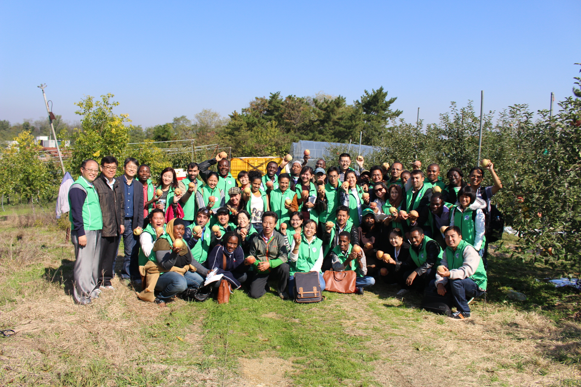 FARMING EXPERIENCE APPLE PICKING