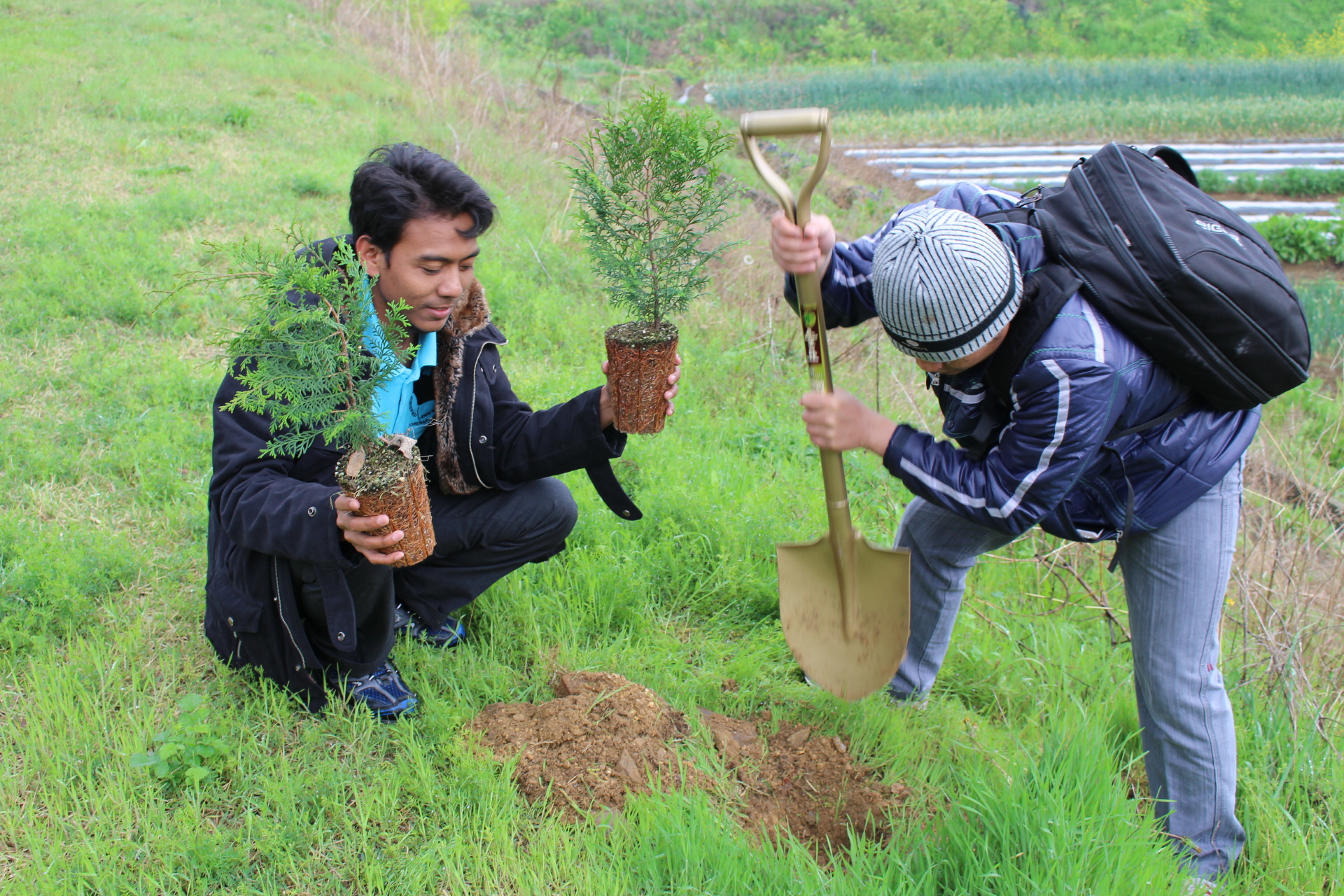 Tree Planting with Forest Resources and Ecological