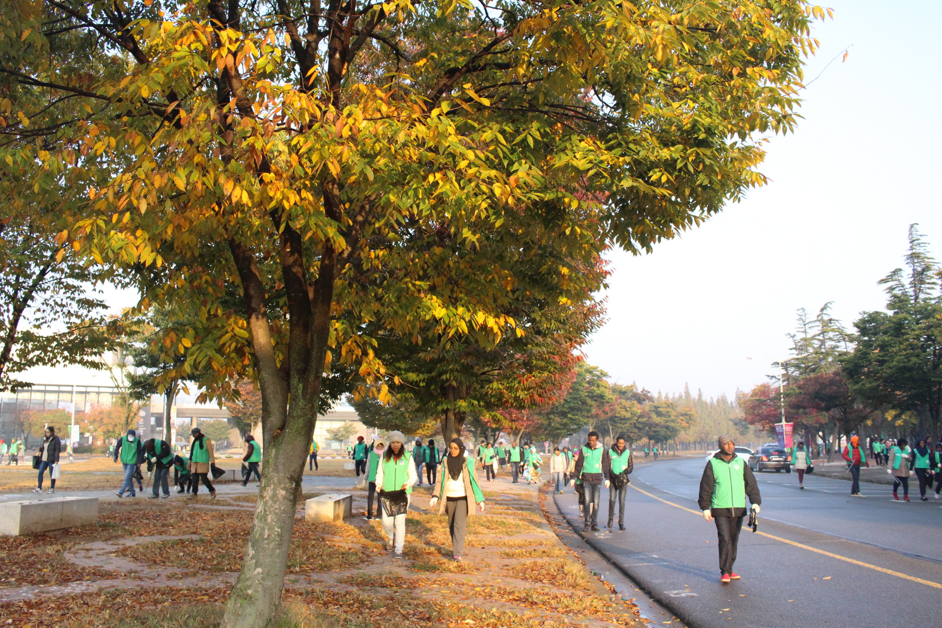 Saemaul Monthly Cleaning Campaign November 2015