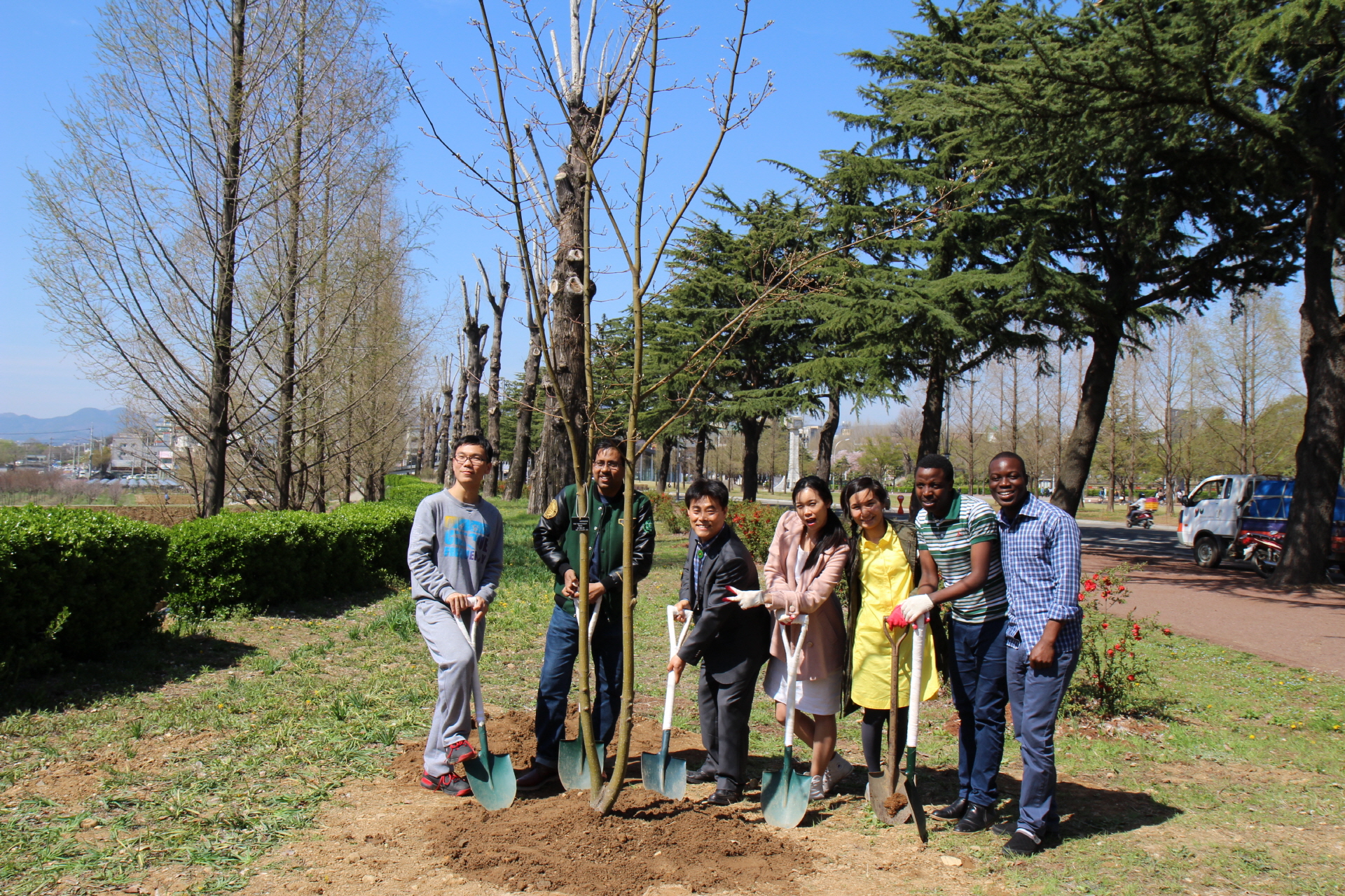 Tree-planting day