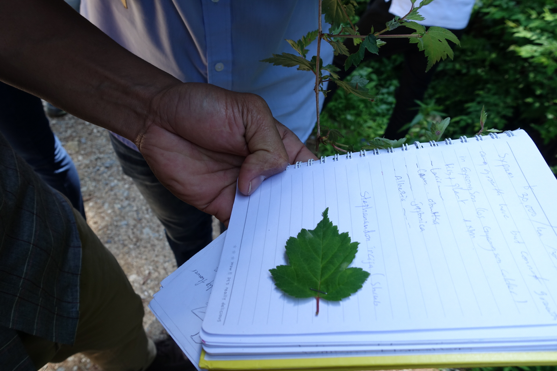 Field Study for Forest Major  Jangsung city